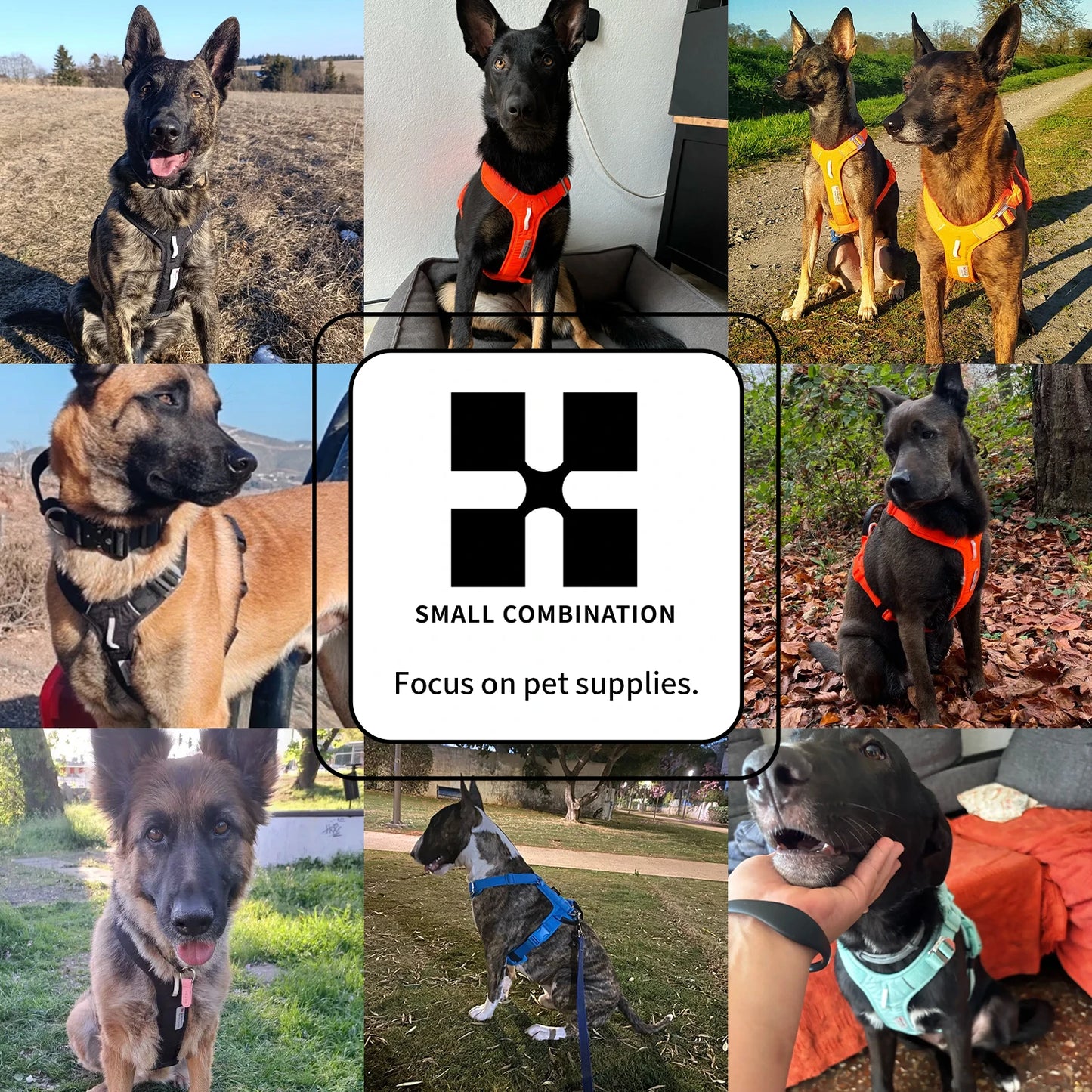 Small Combination No Pull Nylon Reflective Dog Harness Adjustable For Walking