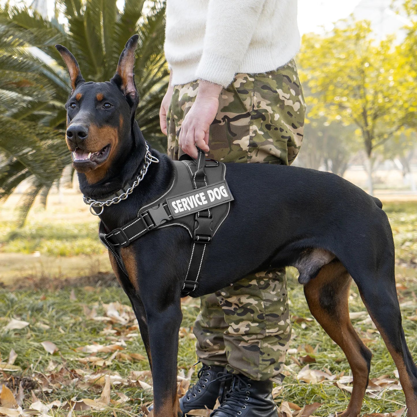 Personalized Doberman Pinscher Adjustable Dog Harness Custom Name Tag Breathable
