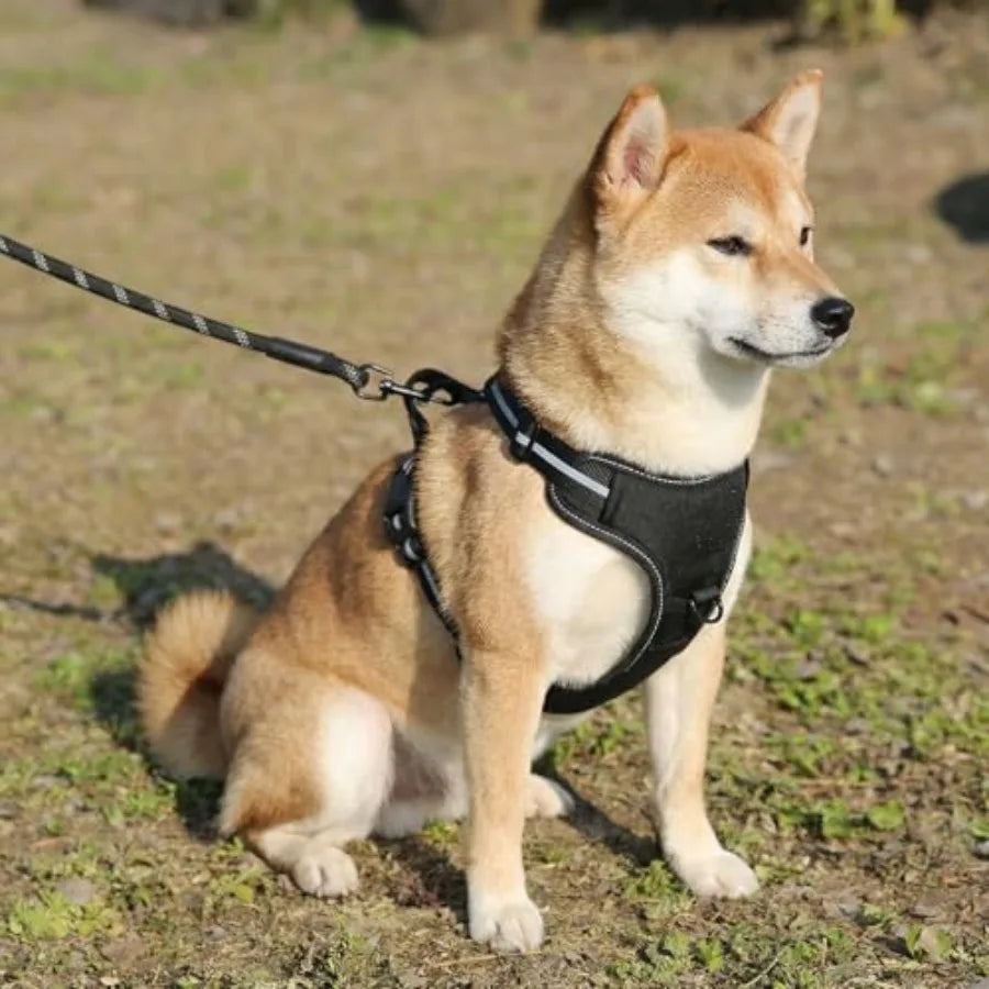 No Pull Dog Harness Soft Padded Adjustable Vest With Reflective Stripes Black