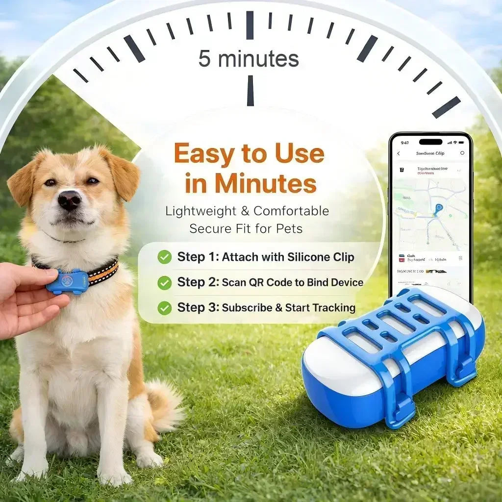 GPS Pet Tracker 4G LTE For Dogs And Cats With Real Time Tracking IP67 Waterproof