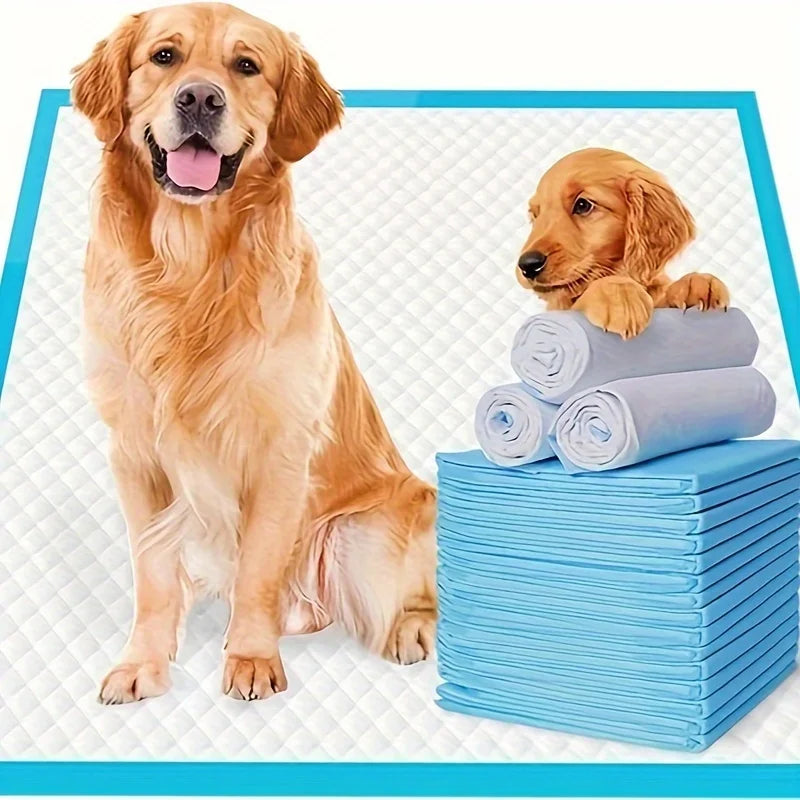 XXL Disposable Dog Pee Pads Super Absorbent Leak Proof Training Pads