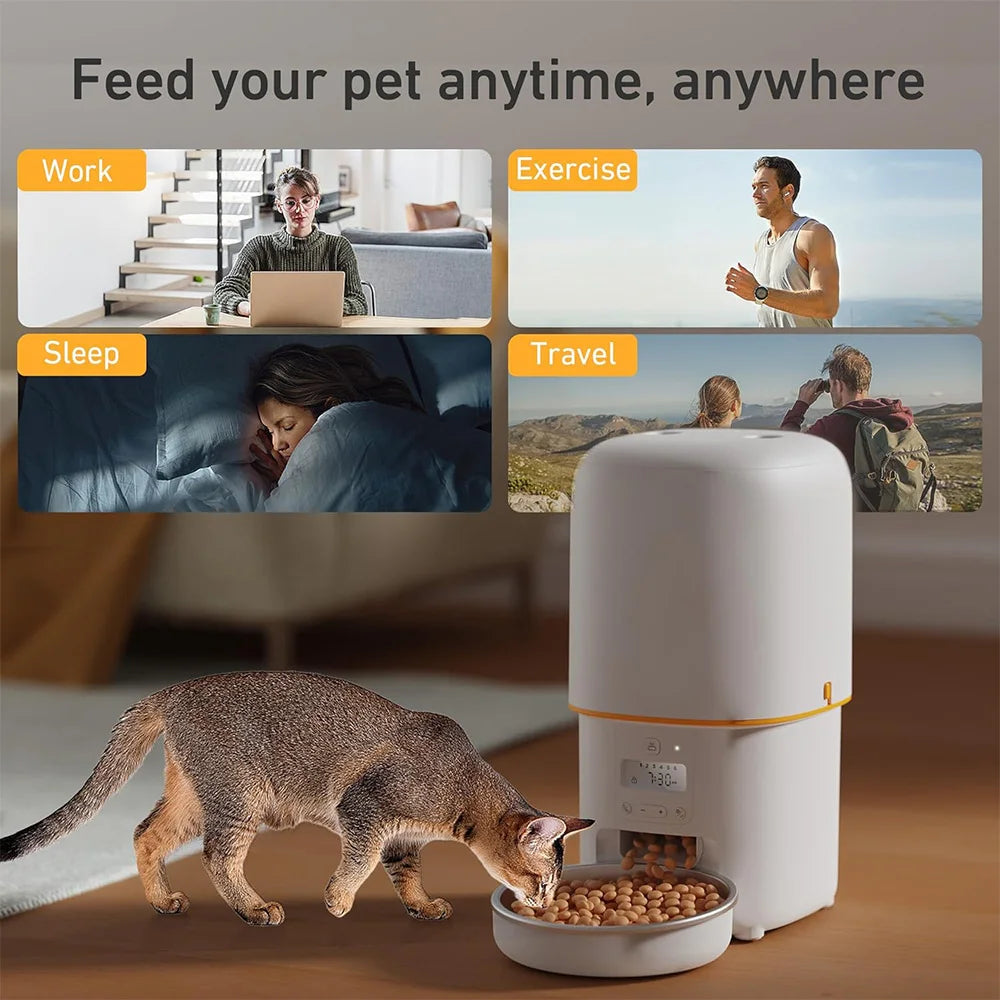 Nityers 4L Automatic Cat Feeder With Timer Voice Recorder And Steel Bowl