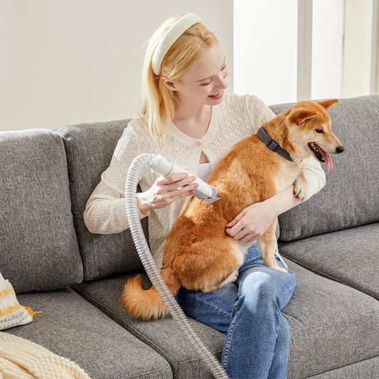 JHK Two Point Five L Pet Grooming Vacuum Kit With Cordless Low Noise Clippers