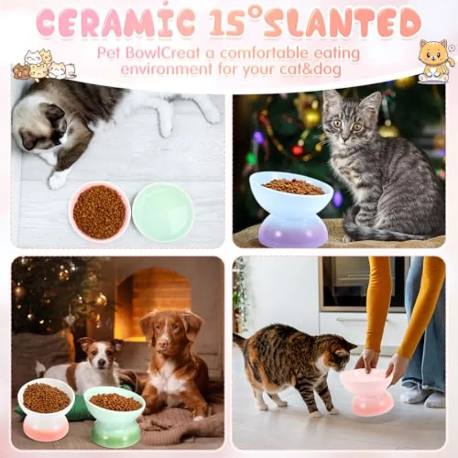 4 Pack Raised Cat Food Bowls Elevated Tilted Design Anti Vomiting Pet Supplies