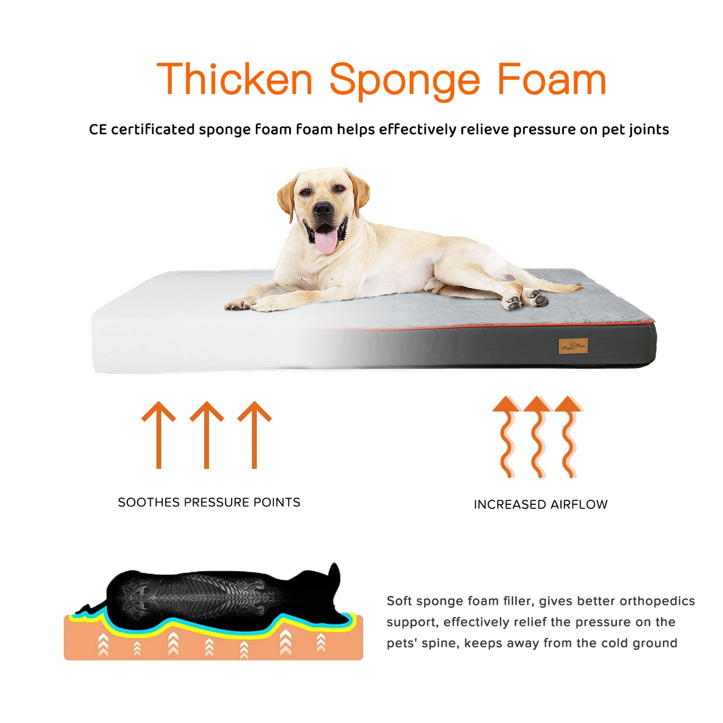 Large Orthopedic Dog Bed With Padded Foam Cushion And Waterproof Removable Cover