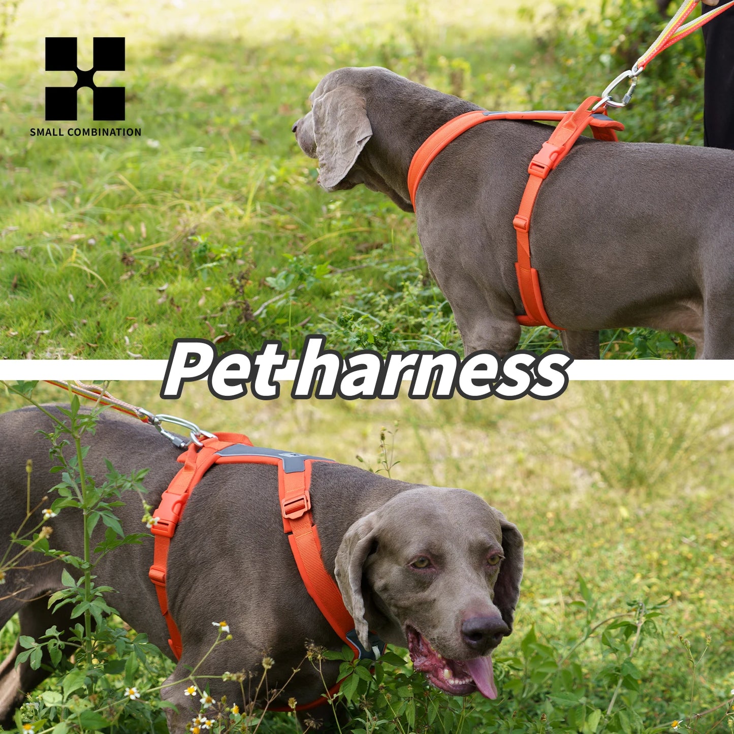 Small Reflective No Pull Dog Harness Adjustable For Small Medium Large Dogs
