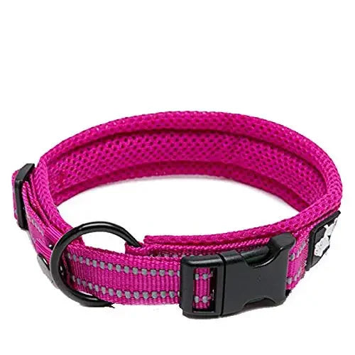 Truelove Reflective Nylon Dog Collar Adjustable Padded Heavy Duty TLC5011