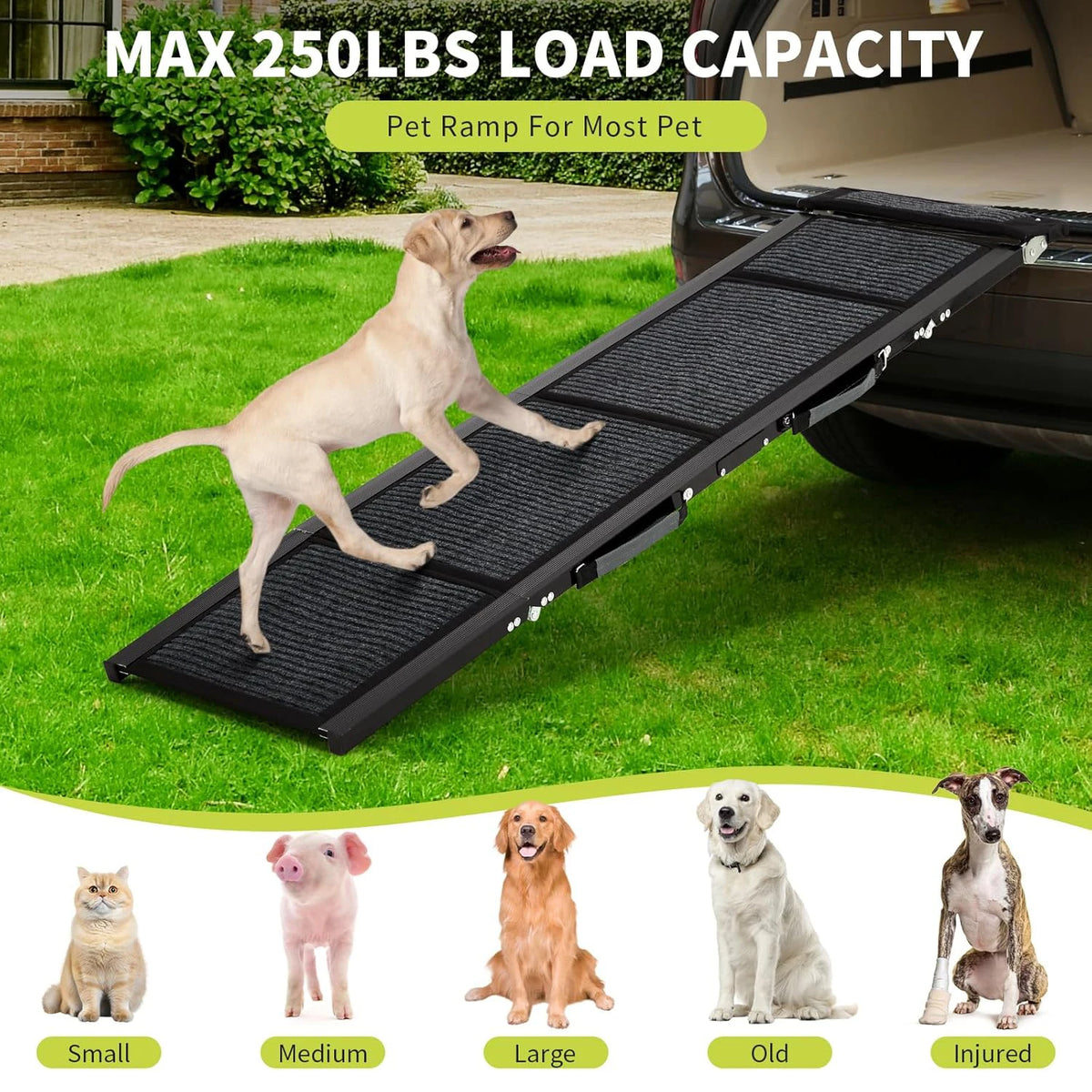 Foldable Dog Car Ramp Non Slip Surface Portable Heavy Duty Pet Ramp 250 Lbs