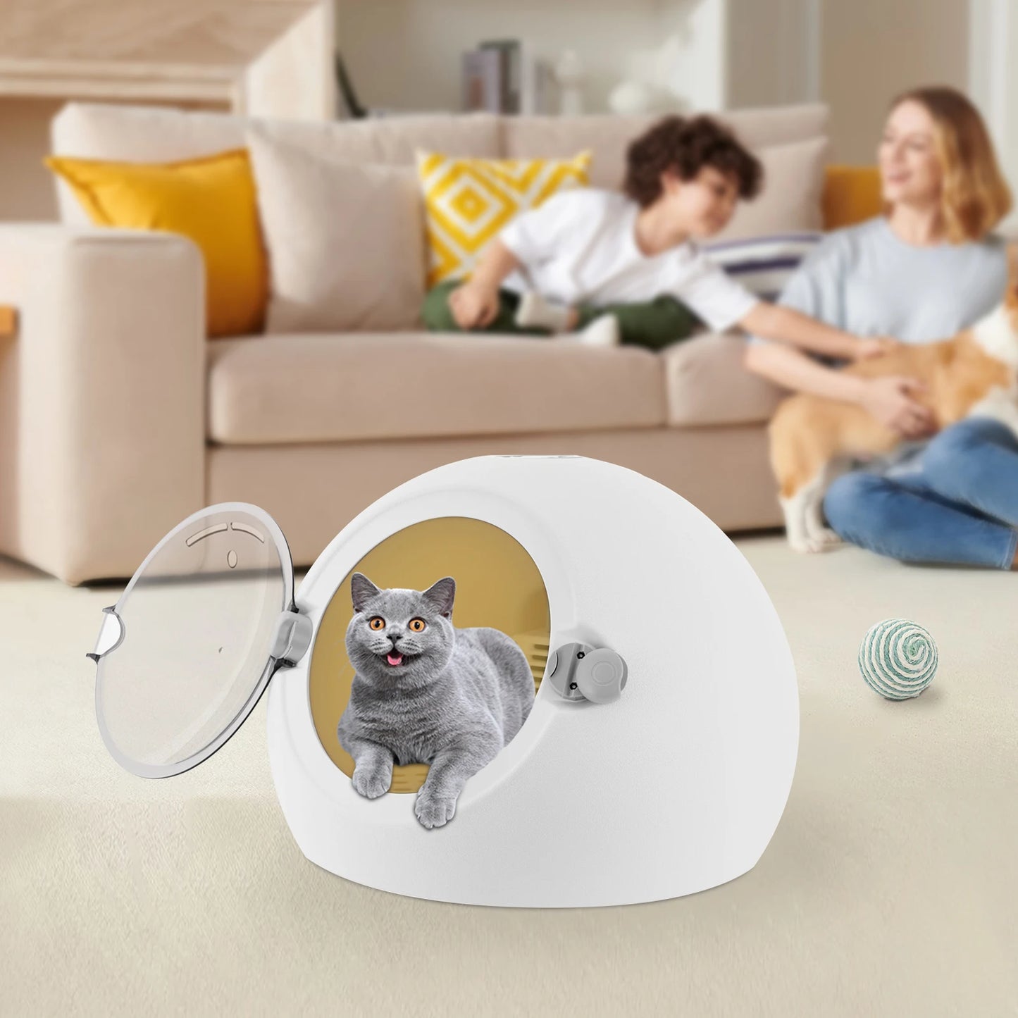 600W Portable Pet Dryer Box For Cats And Puppies Home Grooming
