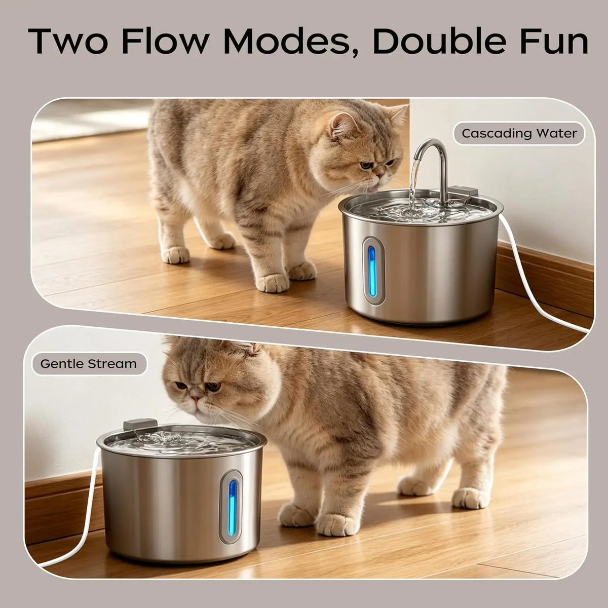 Stainless Steel Cat Water Fountain 74oz 2.2L Quiet Pet Dispenser
