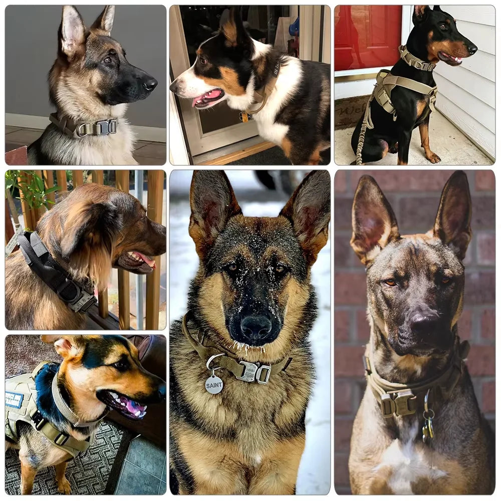 Adjustable Tactical Dog Collar And Leash Set With Control Handle For All Sizes