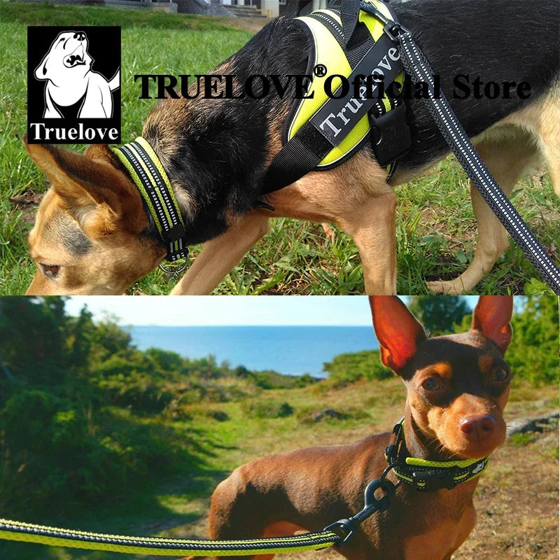 Truelove Reflective Nylon Dog Collar Adjustable Padded Heavy Duty TLC5011