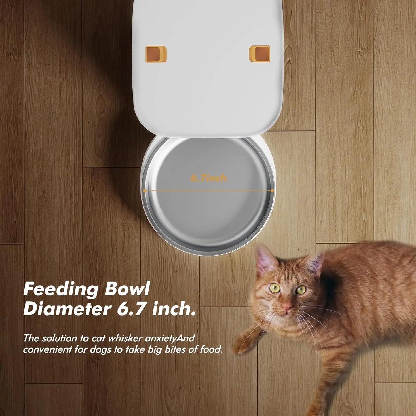 Nityers 8L Automatic Cat Feeder With Stainless Steel Bowl Timed Auto Dispenser