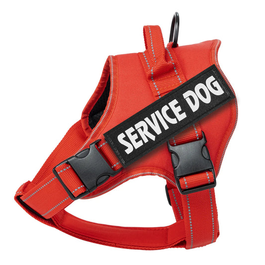 Personalized Doberman Pinscher Adjustable Dog Harness Custom Name Tag Breathable