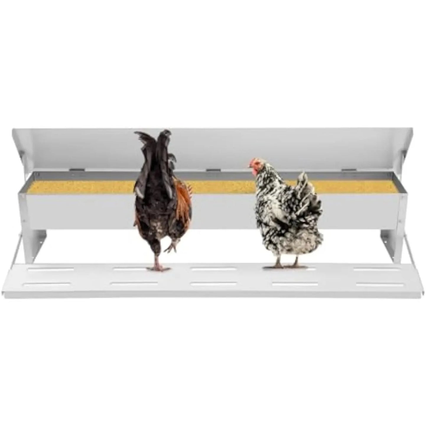 Automatic Galvanized Chicken Feeder With Weatherproof Lid Treadle 10kg Capacity