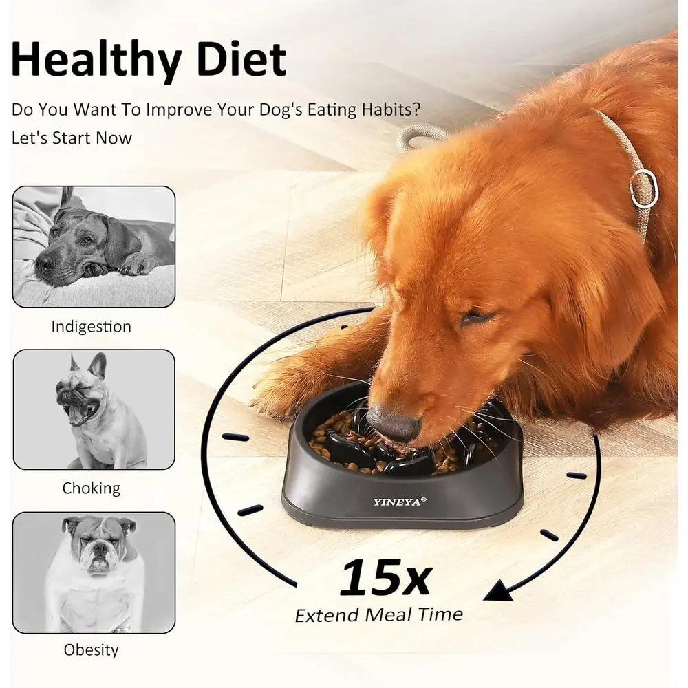 Slow Feeder Dog Bowl Maze Puzzle Feeder For Medium Breed Plastic Non Slip
