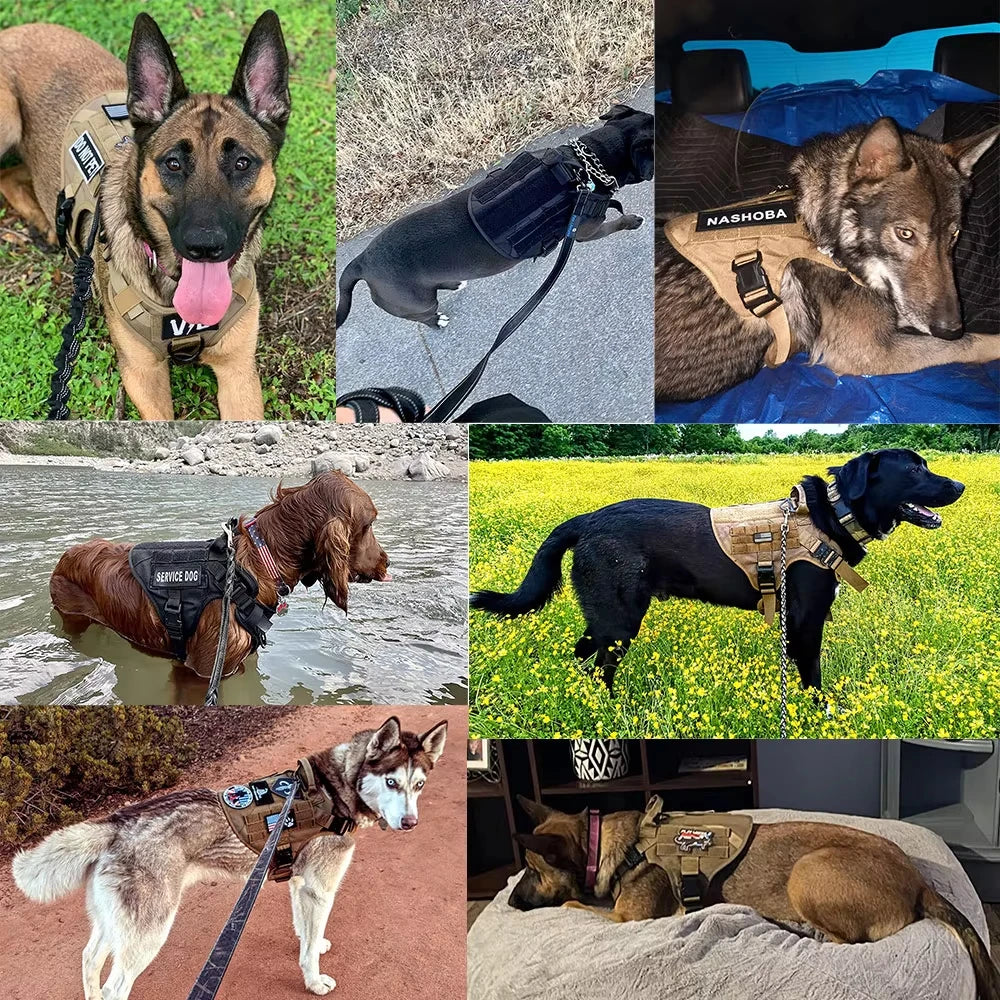 Tactical Dog Harness Vest Set Padded Nylon Quick Release For Large Breeds