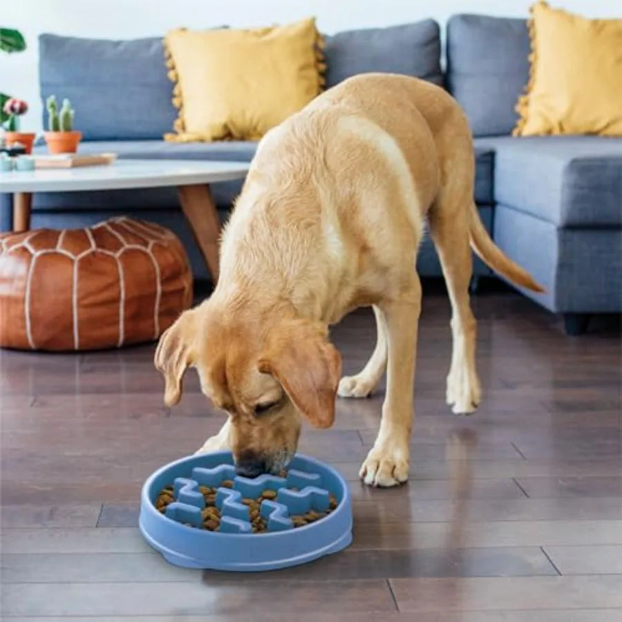 Fun Feeder Slow Bowl 4 Cup Capacity Slow Feeding For Dogs Non Slip Notch Pattern